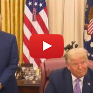 Friedman Trump