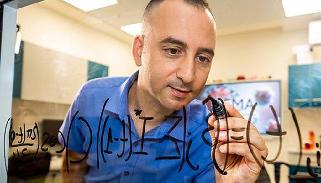 Prof. Dan Yamin
