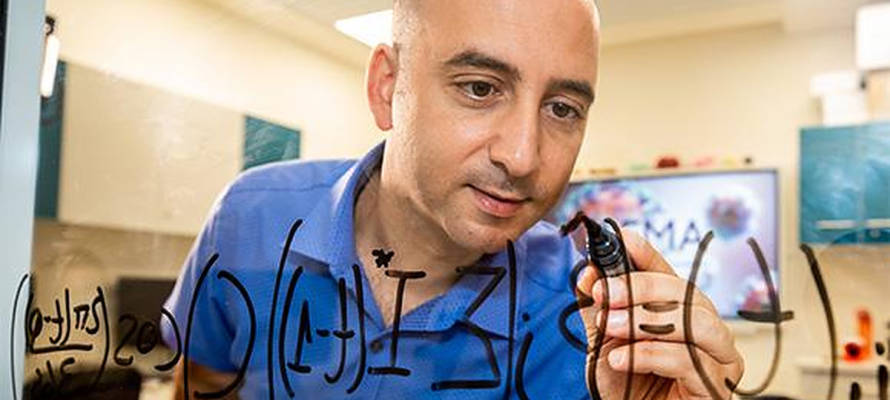 Prof. Dan Yamin