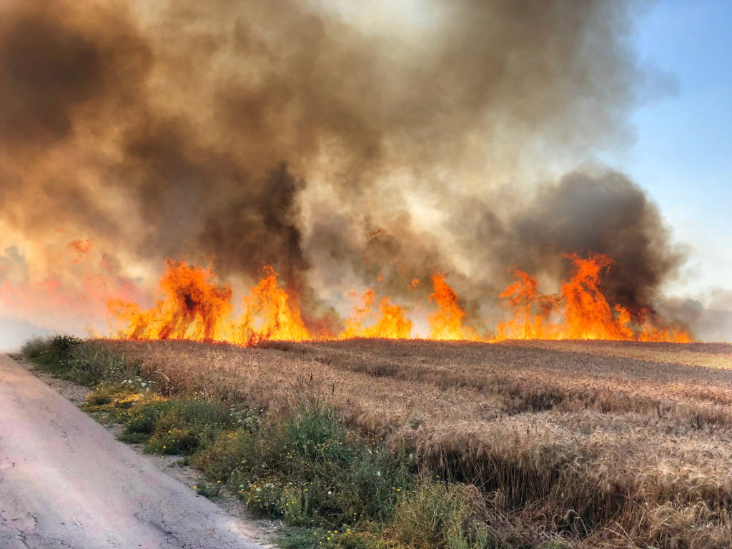 Palestinian Arson Terror