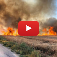 Palestinian Arson Terror