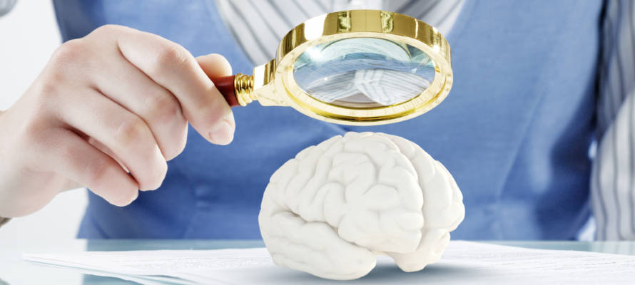 brain research