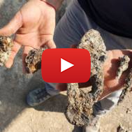 Ancient artifacts in Usha