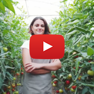 Israel agriculture