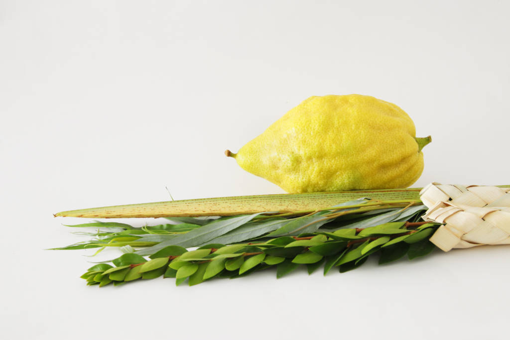 Lulav bundle