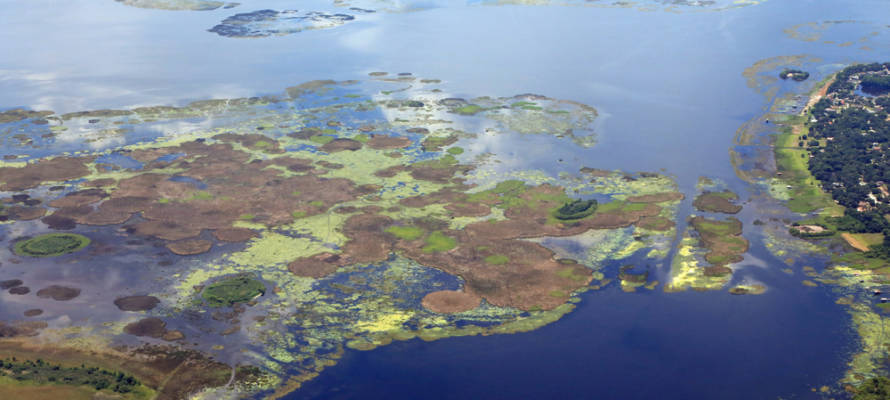 Lake Okeechobee algae bloom