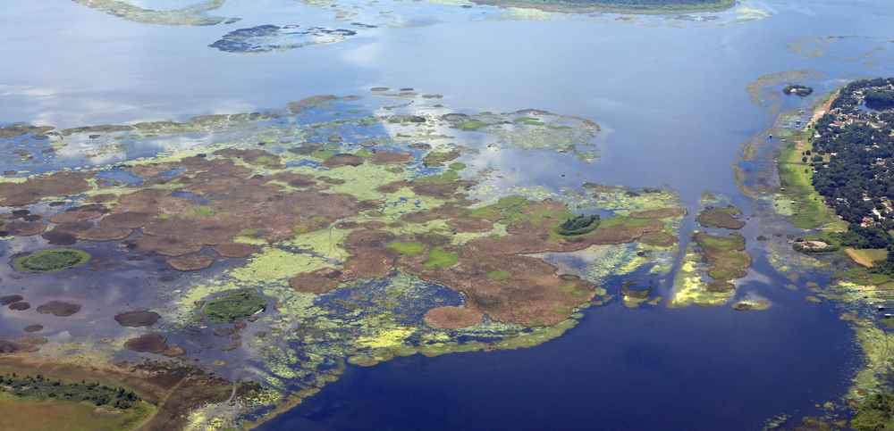 Lake Okeechobee algae bloom