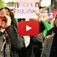 Anti-Israel protesters