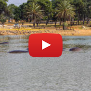 Ramat Gan Safari