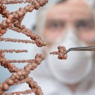 Gene editing