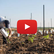 Israel agriculture