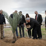 Tu B'Shevat