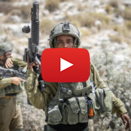 IDF soldiers