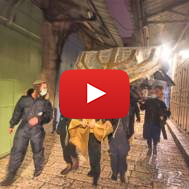 Temple Mount activists