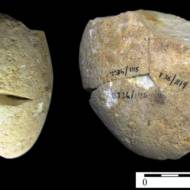 Stone tool