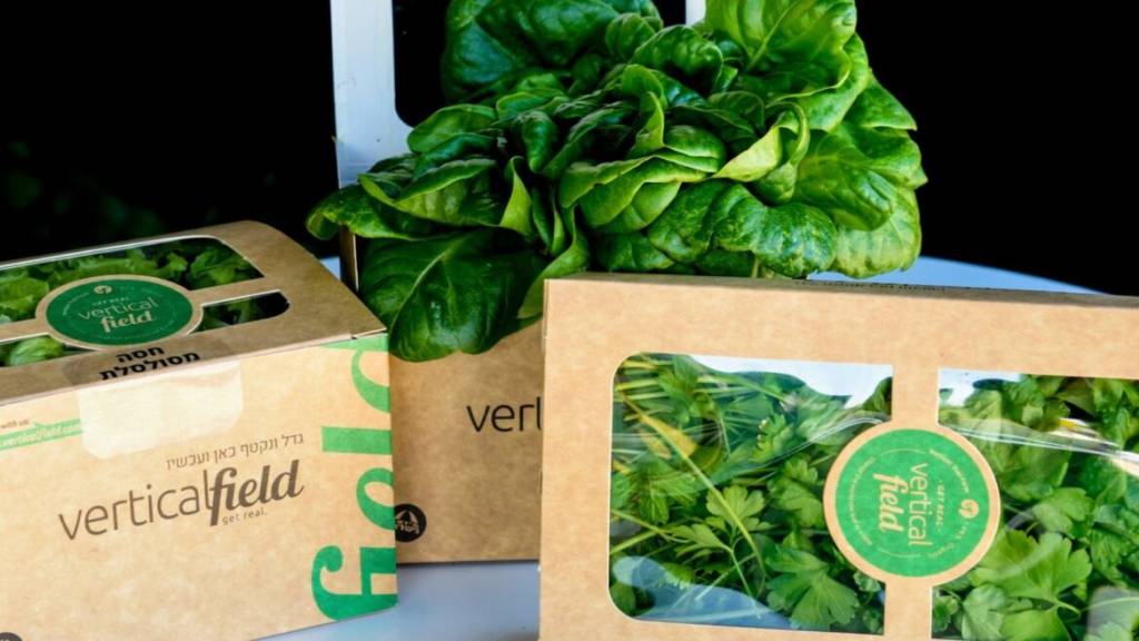Vertical Field greens