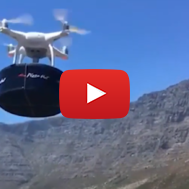 Pizza drone