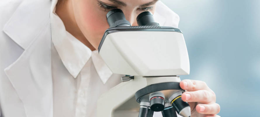 Researcher