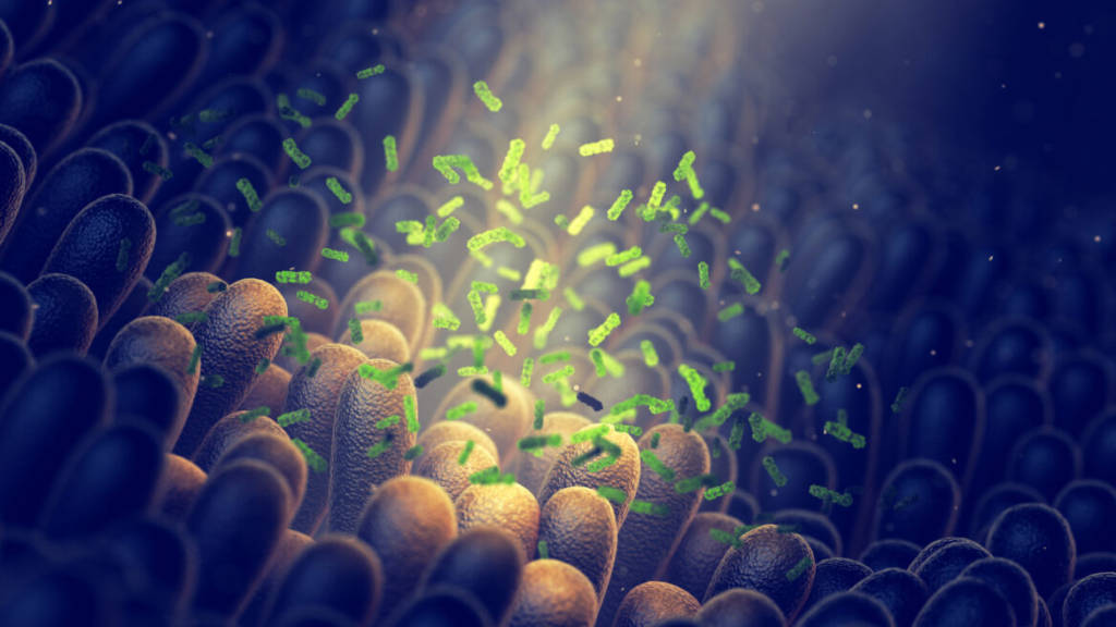 Gut microbiome