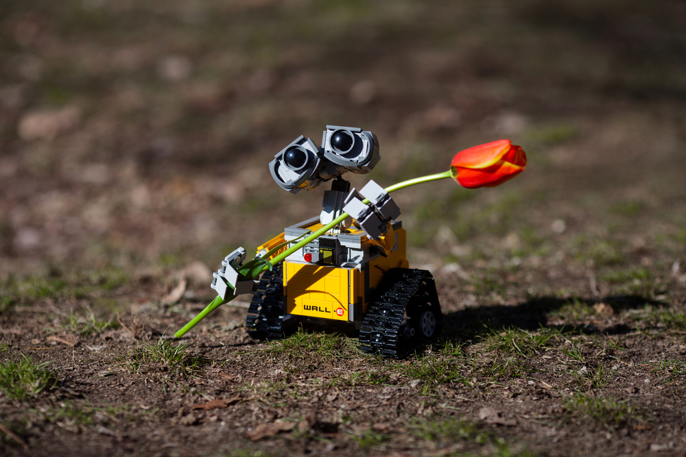 Robot