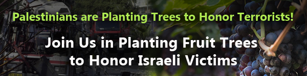 plant fruit trees