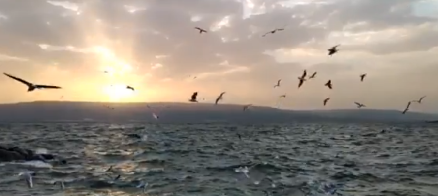 Mar de Galilea