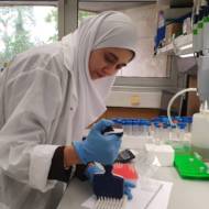 Hebrew University research