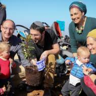 Trees for terror victims