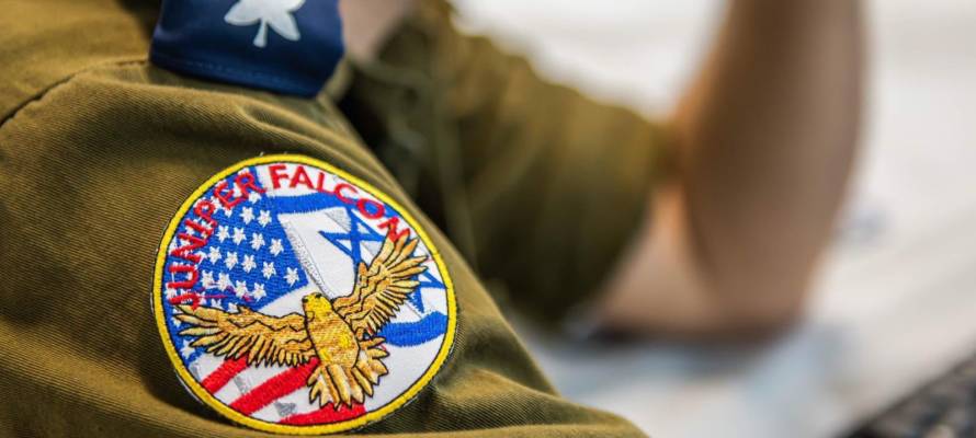 Juniper-Falcon shoulder patch