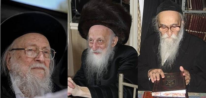 Rabbis Sheiner, Soloveitchik, Twerski