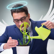 Investor