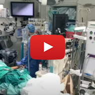 Cornea Transplant