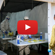 IDF Coronavirus
