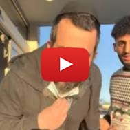 Anti-Semitic YouTuber Dulla Mulla