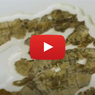 Biblical Scrolls