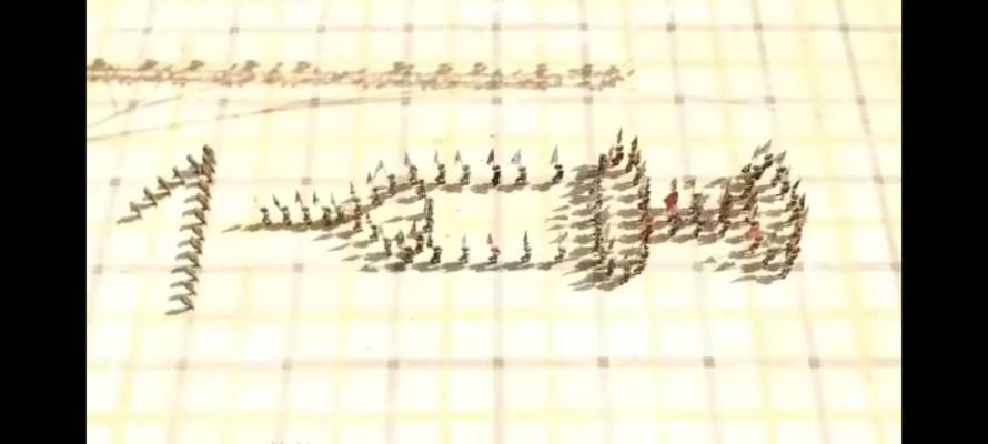 IDF marching in formation
