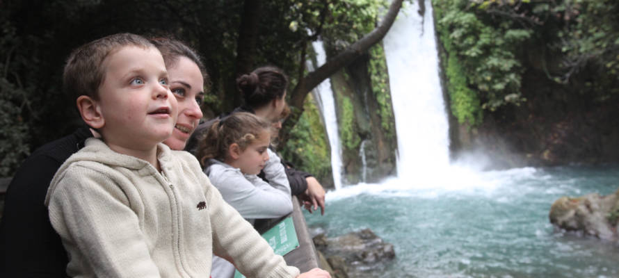 Banias springs