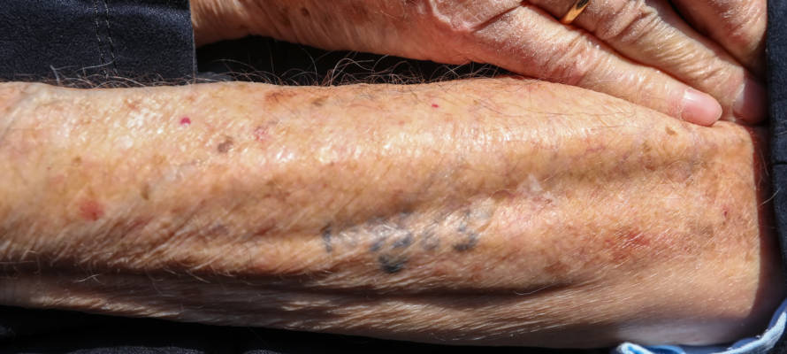 Holocaust survivor