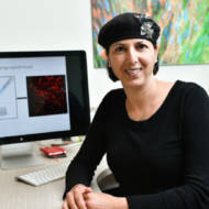 Prof. Shulamit Levenberg
