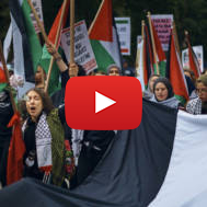 anti-Israel Protesters