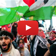 Anti-Israel Protesters
