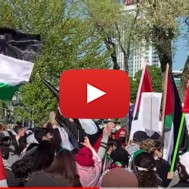 Anti-Israel protesters in Canada