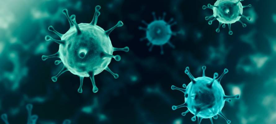 coronavirus