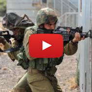 Kfir Brigade