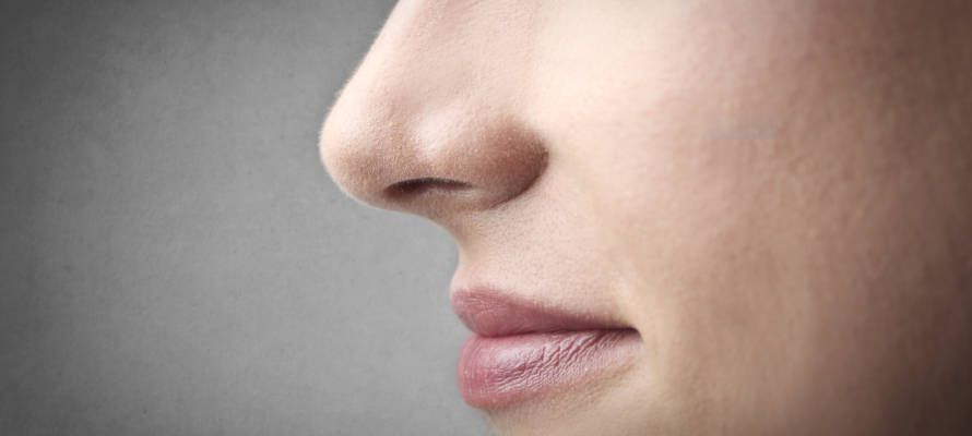nose