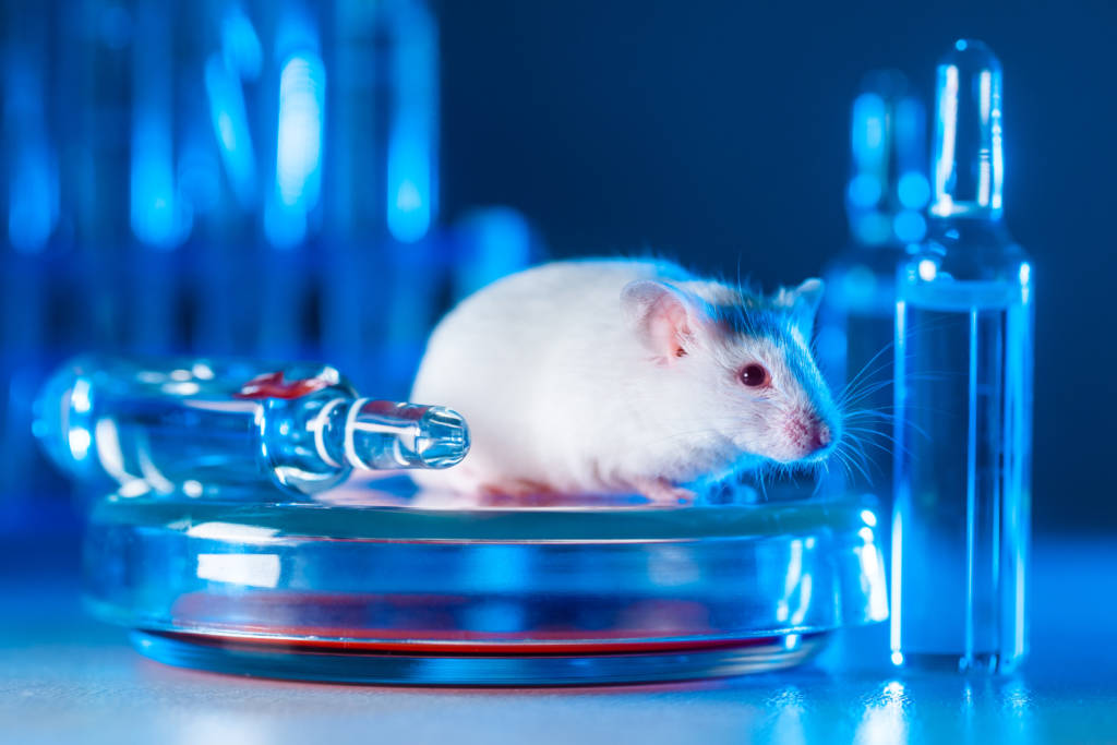 mice lab medical research