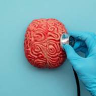 Brain check