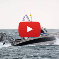 The “Seagull USV”
