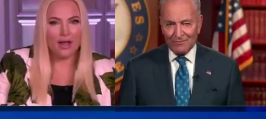 Meghan McCain (L) and Senate Majority Leader Chuck Schumer