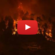 Greece Fires